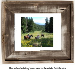 horseback riding near me in Seaside, California